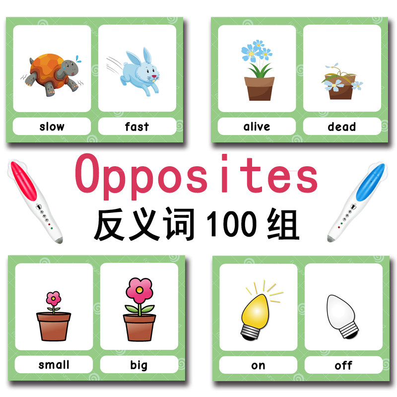 The 100 Groups Opposites Flash - Kids Education Things review and price