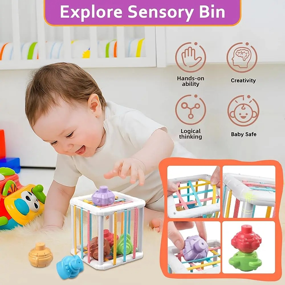 Rainbow Colorful Montessori Sh - Kids Education Things review and price