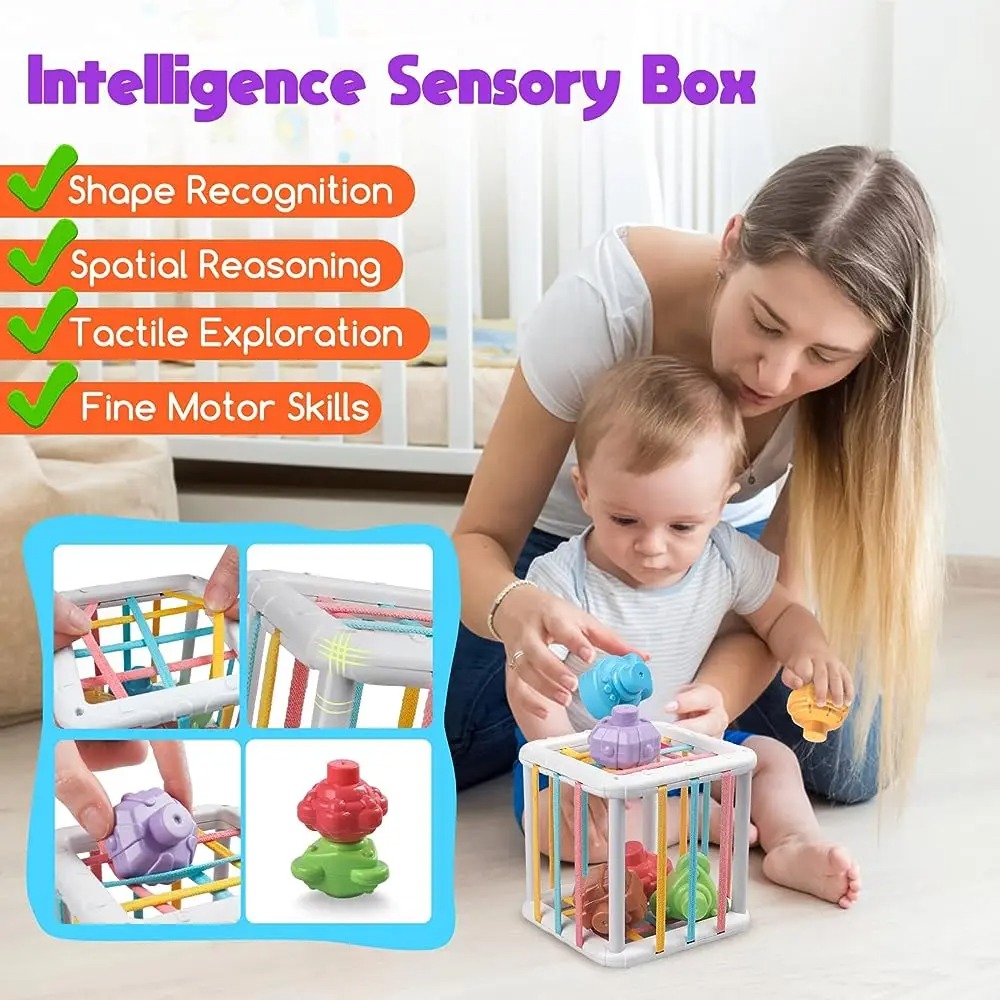 Rainbow Colorful Montessori Sh - Kids Education Things review and price